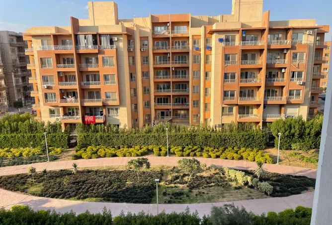 8431147 - صورة العقار 3