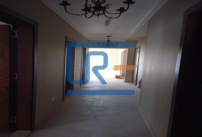 8184057 - Property Image 3