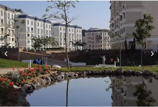 8222884 - Property Image 2