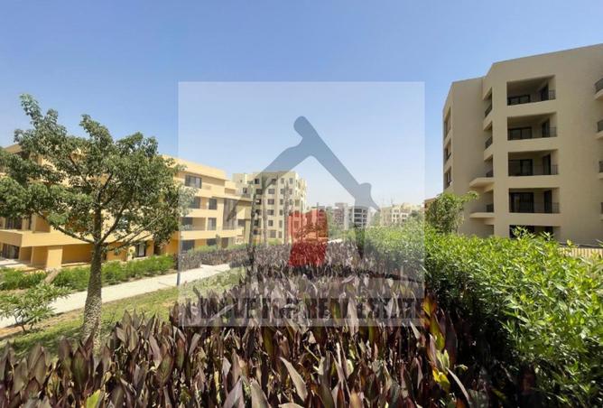 8243939 - الصورة الرئيسية للعقار