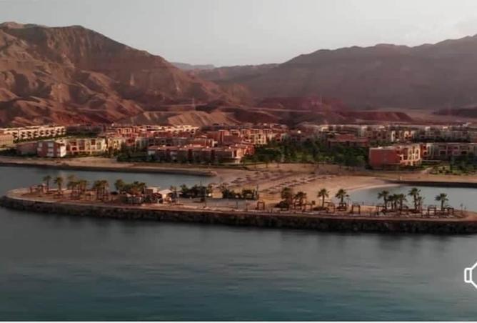 8187666 - صورة العقار 3