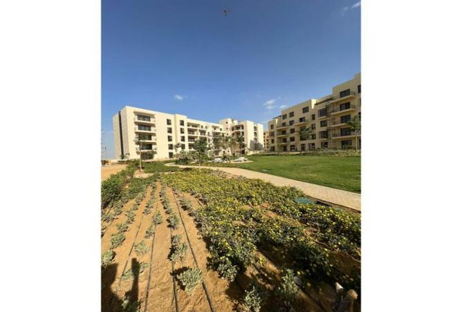 8090584 - صورة العقار 3