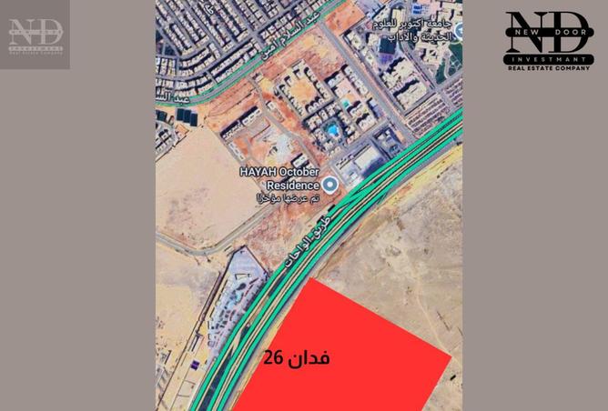 8122286 - Property Image 2