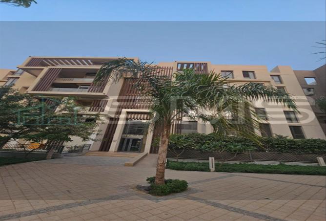 7969352 - Property Image 3