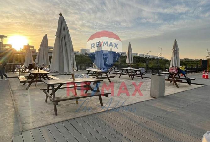 7996796 - Property Image 3