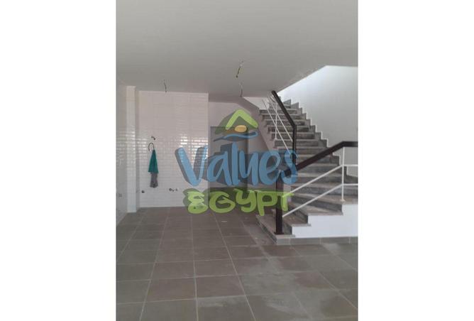 7918025 - Property Image 3