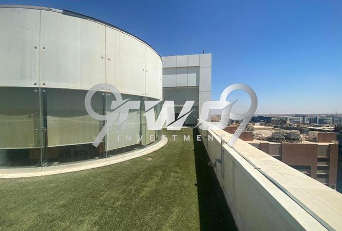 7943437 - Property Image 3