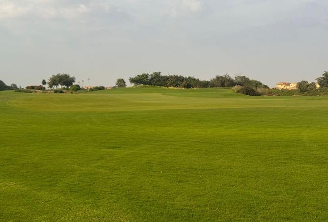 8235066 - صورة العقار 3