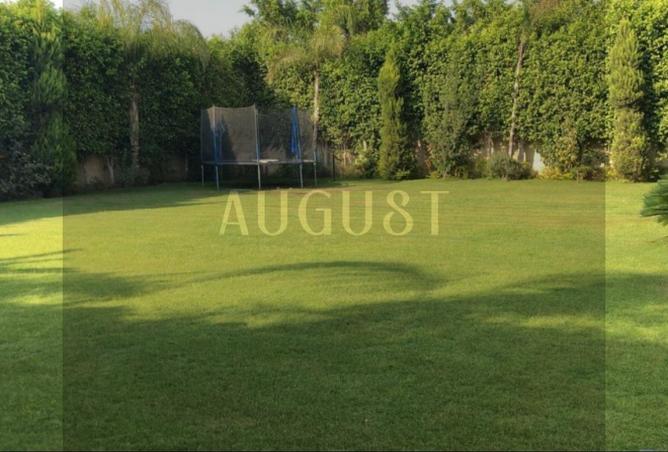 8136505 - Property Image 3