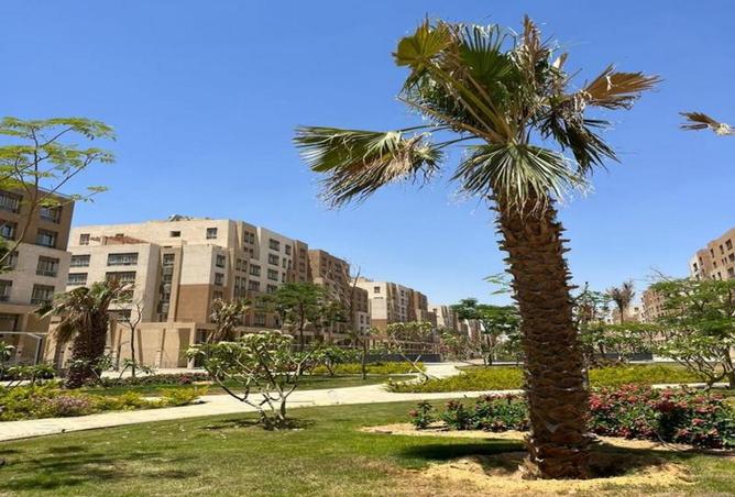 8003600 - Property Image 2