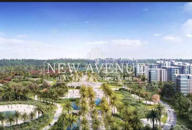 8236502 - صورة العقار 2