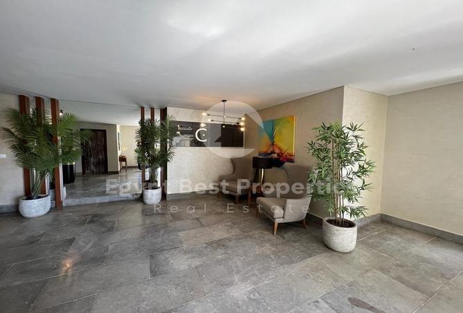 7993813 - Property Image 3