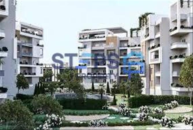 8247825 - Property Image 2