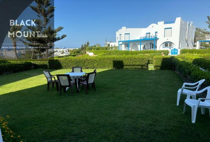 7990976 - Property Image 3