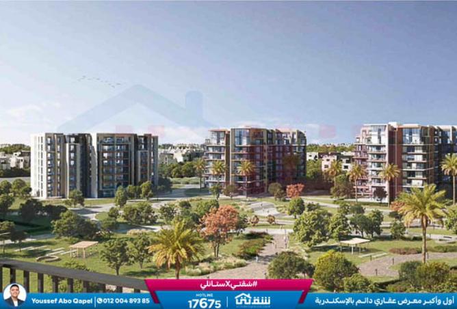 8362585 - Property Image 3