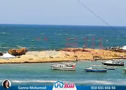 شقة - 2 غرف نوم - 2 حمامات للبيع في طريق الجيش - ميامي - حي اول المنتزة - الاسكندرية
