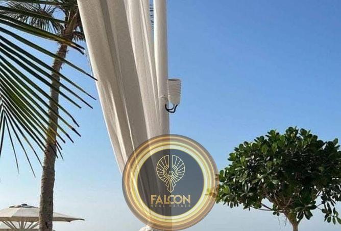 8426130 - Property Image 3