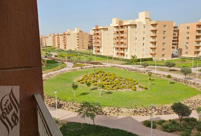 8290053 - الصورة الرئيسية للعقار