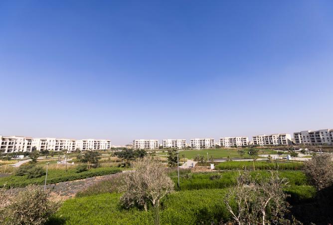 7978821 - صورة العقار 3
