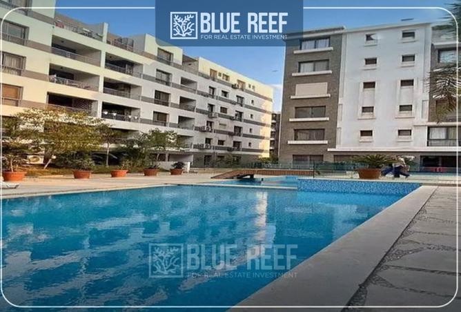 8273596 - Property Image 3