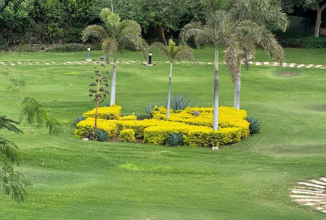 8063493 - صورة العقار 2