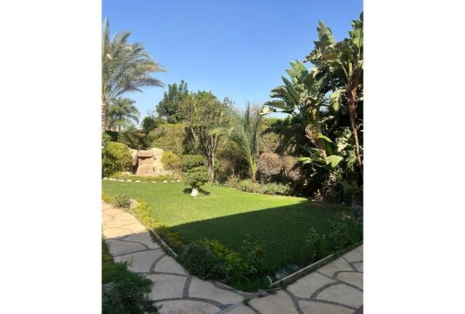 8256823 - صورة العقار 2