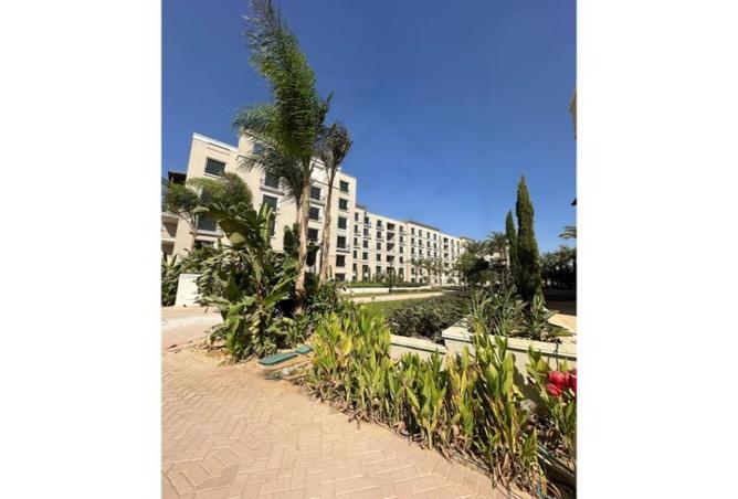 8290396 - صورة العقار 3