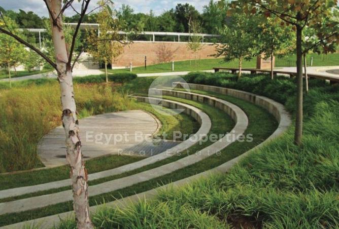 8196302 - Property Image 2