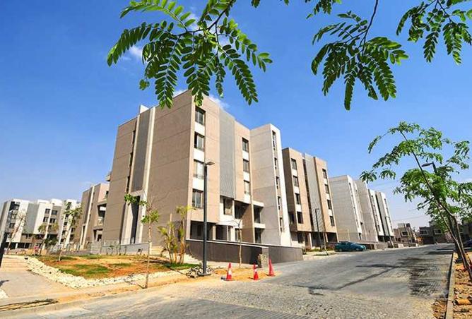 8439100 - Property Image 2