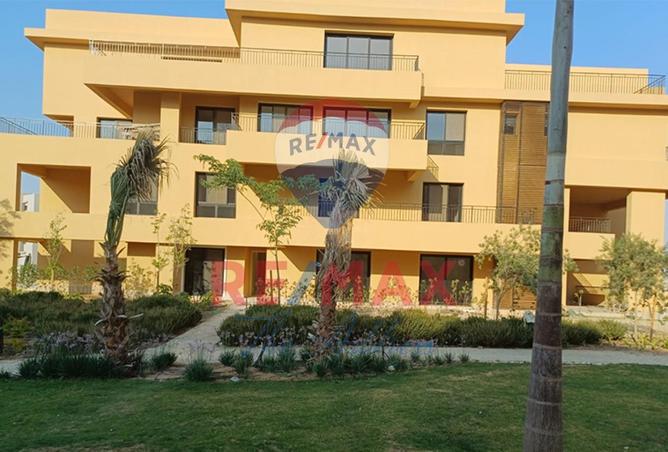 8433566 - صورة العقار 3