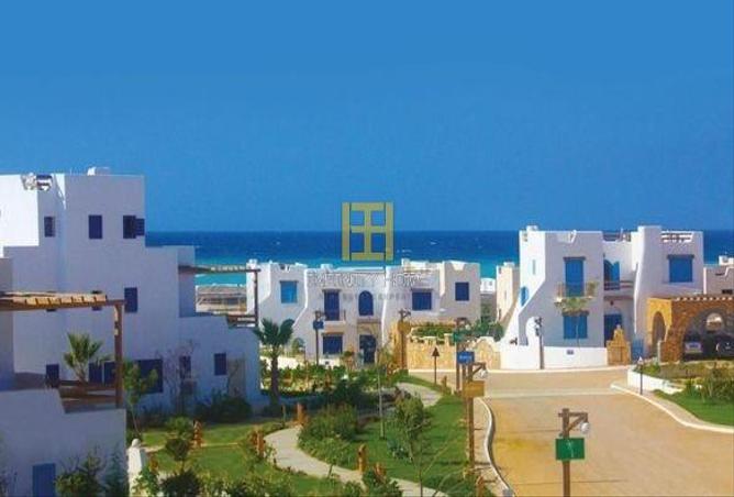 7975826 - صورة العقار 3