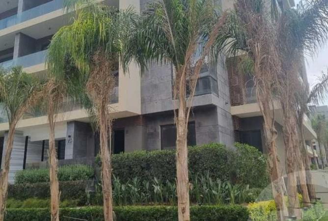 8541920 - Property Image 3