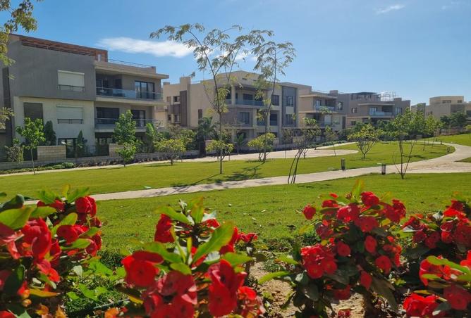 8440105 - Property Image 3