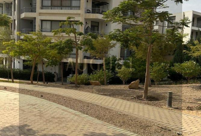 8290294 - Property Image 3