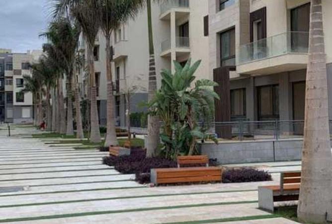 8545117 - Property Image 3