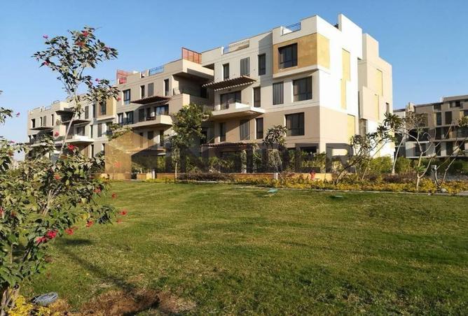 7991786 - Property Image 3