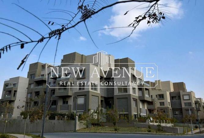 8432833 - Property Image 2