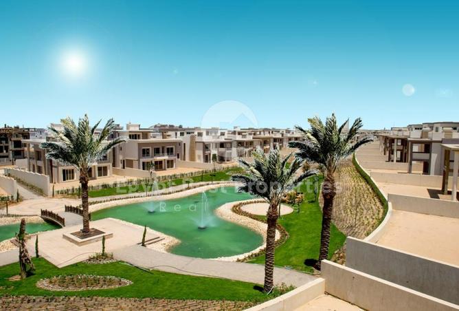 8325104 - Property Image 3