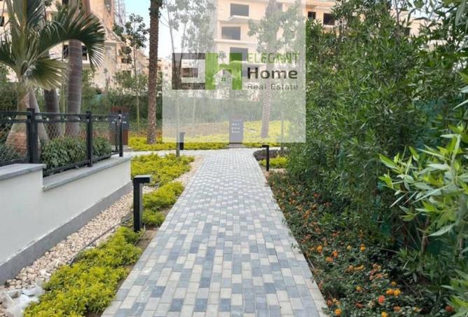 8110428 - Property Image 3