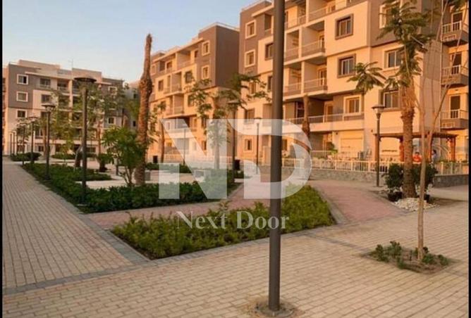 8120567 - Property Image 3