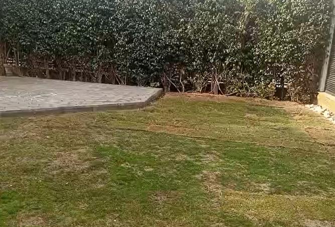 8551331 - صورة العقار 3