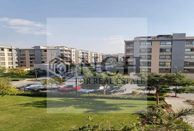 8080854 - Property Image 3