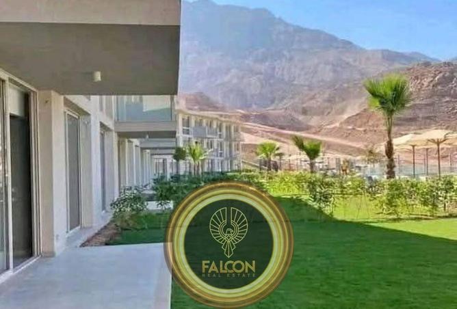 8448802 - صورة العقار 3