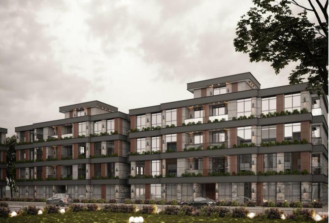 7998639 - Property Image 3