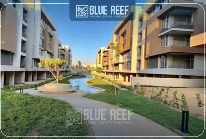 8302242 - Property Image 3