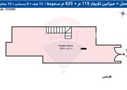 مساحات مكتبية - 8 حمامات for للايجار in شارع محمد فوزي معاذ - سموحة - حي شرق - الاسكندرية