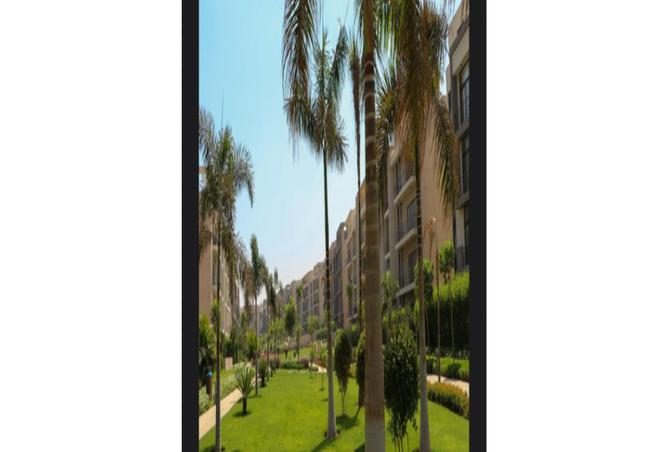 8246750 - Property Image 2