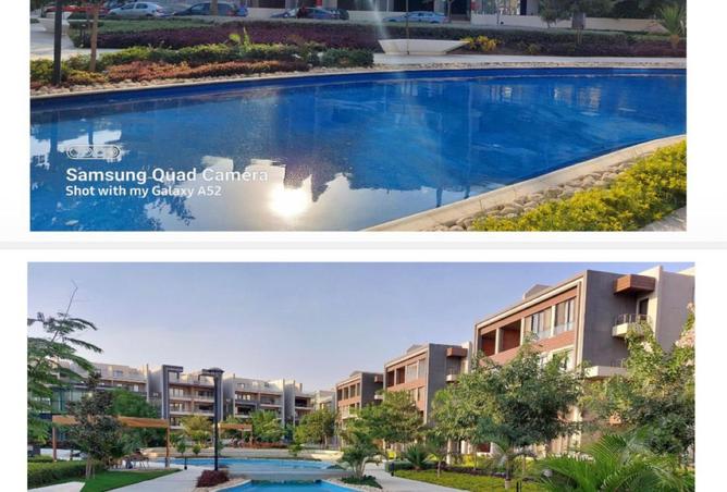 8438368 - Property Image 2