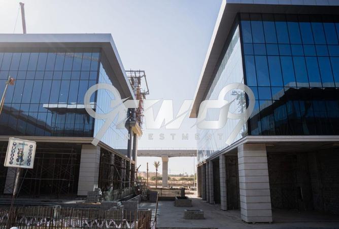 7953556 - Property Image 2