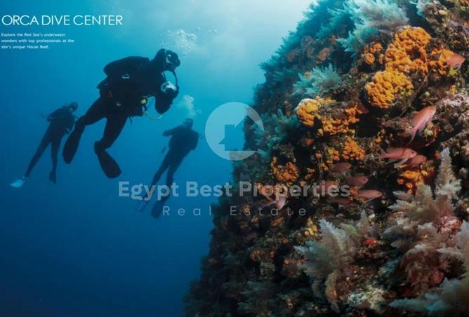 8469908 - صورة العقار 3